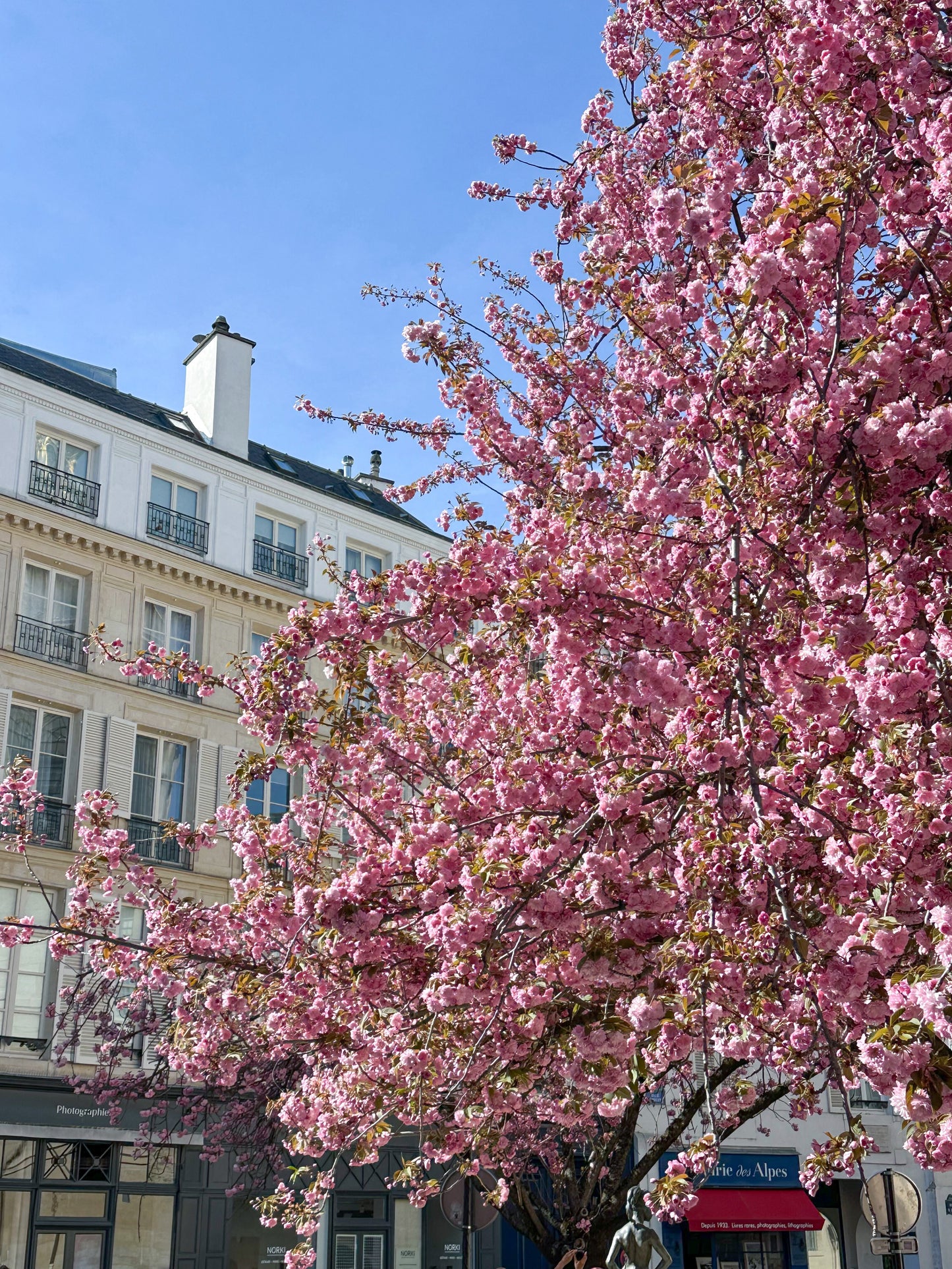 In Bloom, Square Gabriel-Pierné