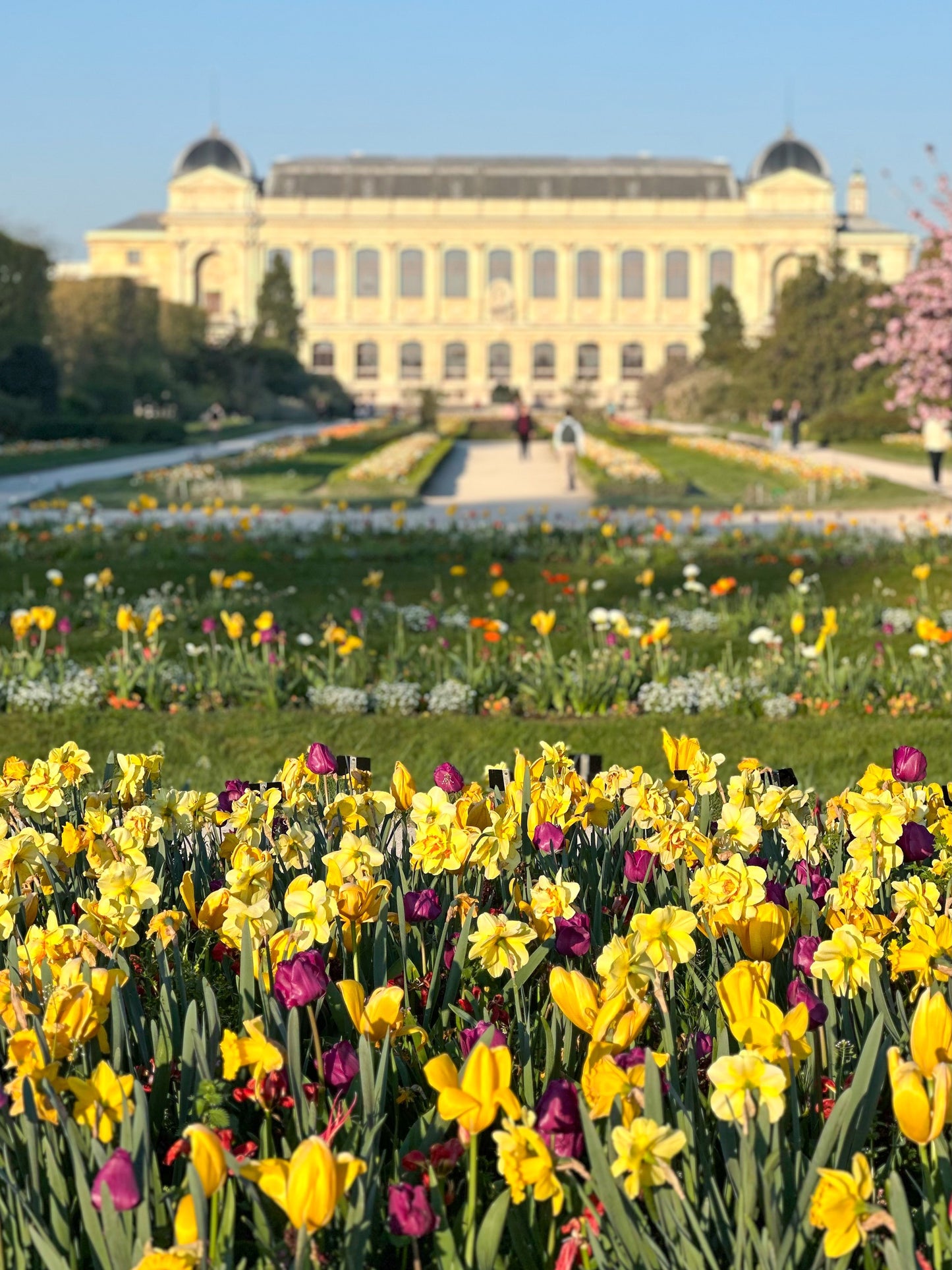 Quiet Morning, Jardin des Plantes