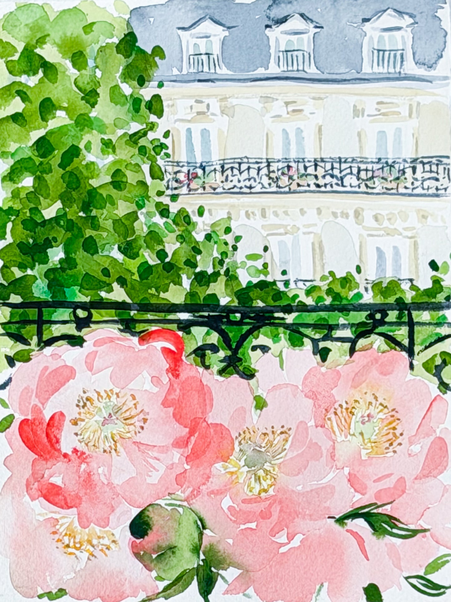 Paris View, Coral Charm