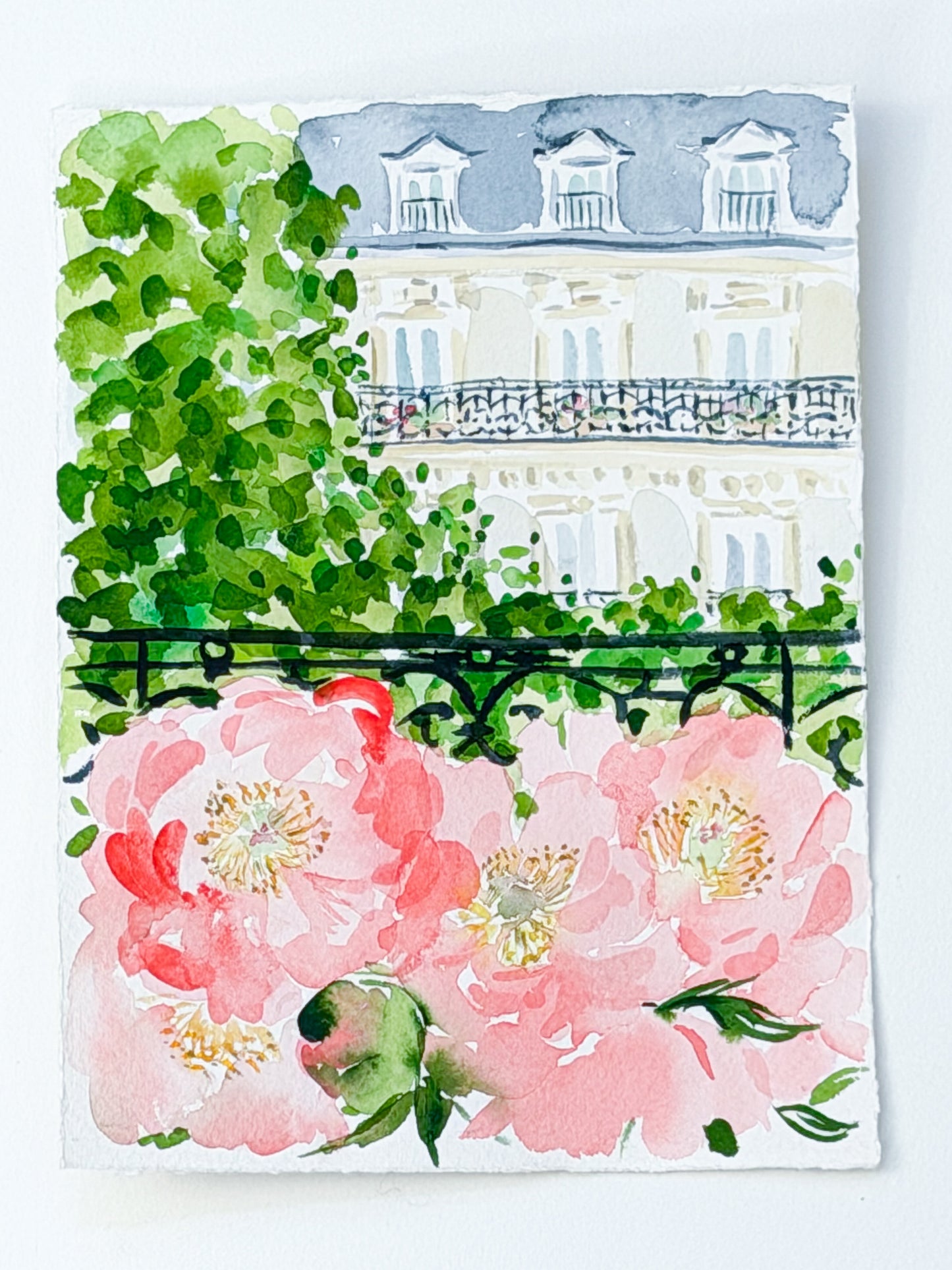 Paris View, Coral Charm