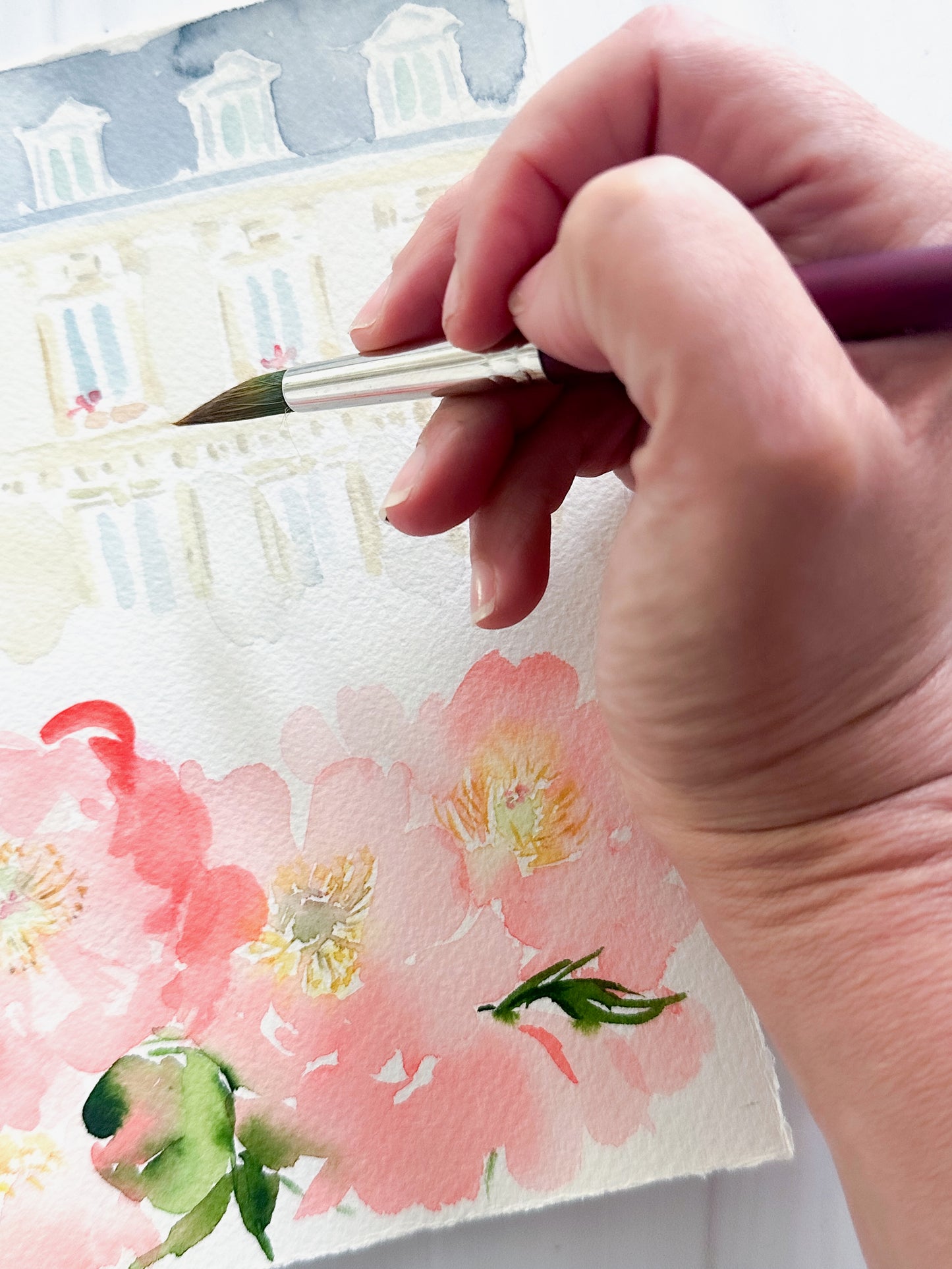 Paris View, Coral Charm