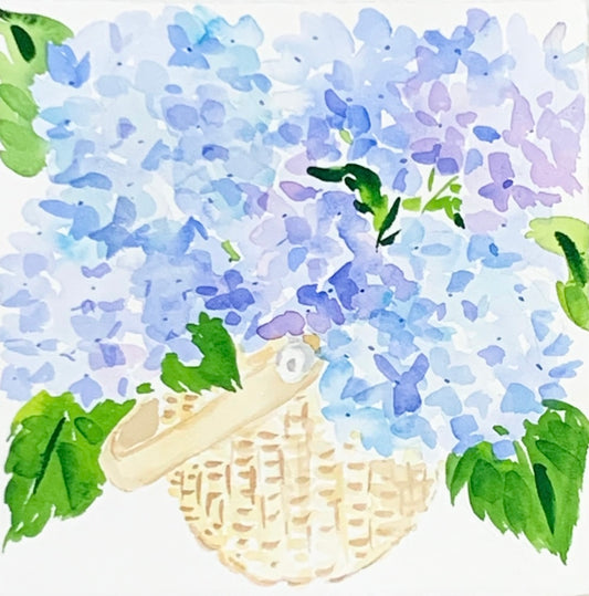 Lightship Hydrangeas