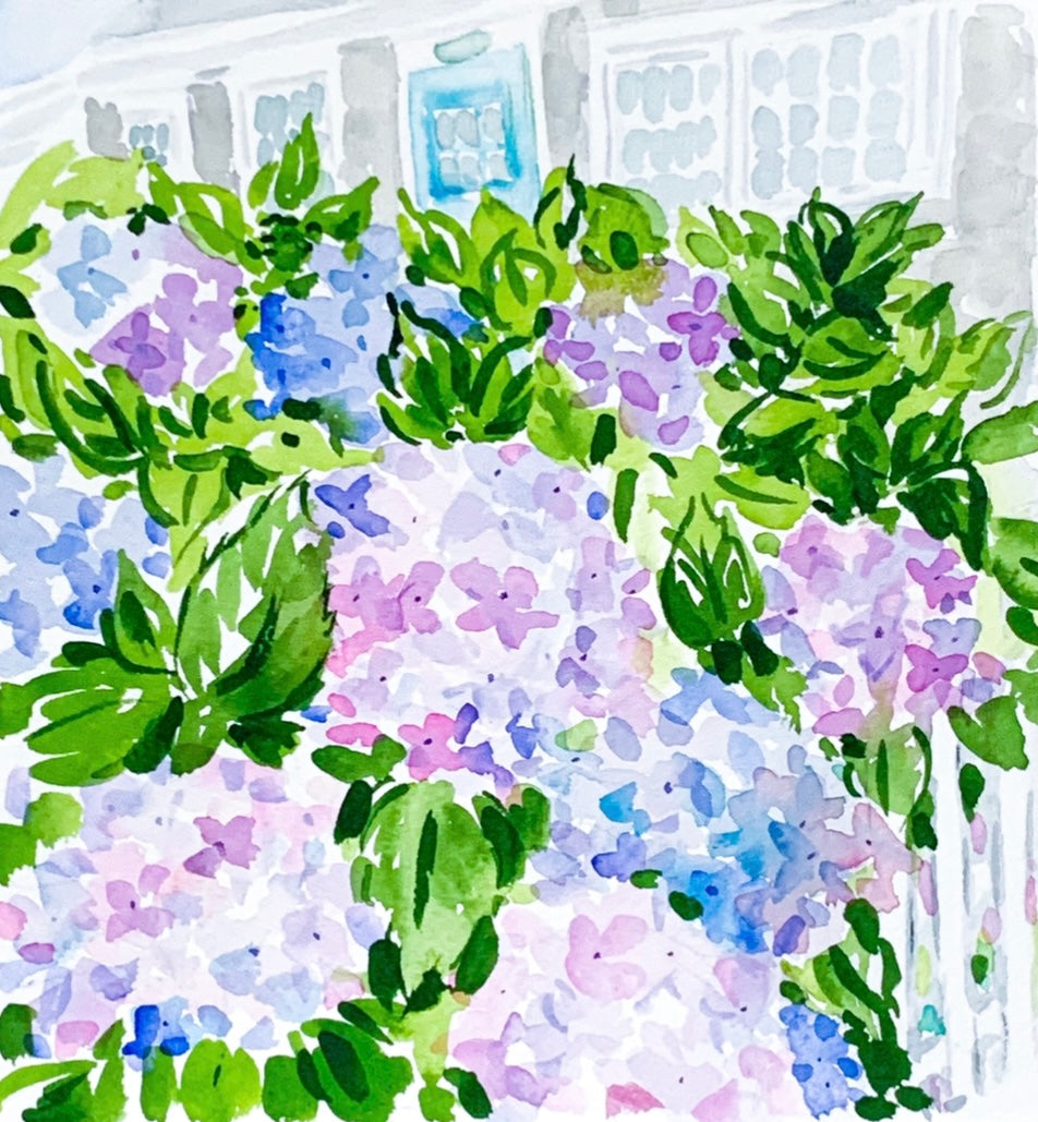 Hydrangea Hues, North Wharf Nantucket